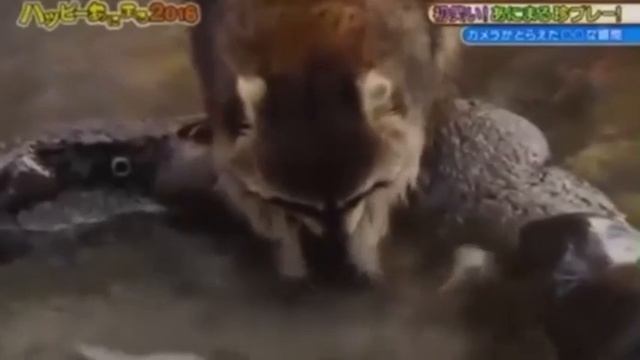 Жалко пацана смотреть онлайн