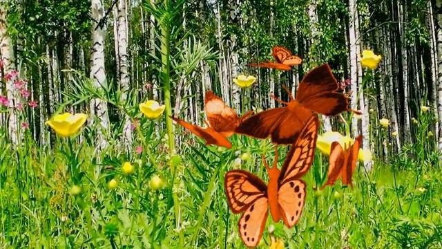 ПРИРОДА АНИМЕ Футаж Аниме 1 смотреть онлайн