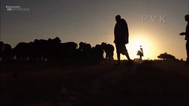 лучшие охотники мира смотреть онлайн