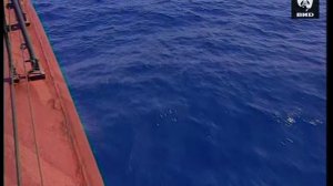 Служу Отчизне 07.09.2003