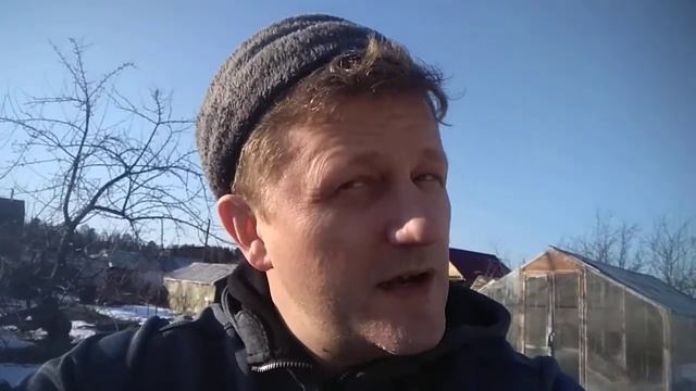 А.А. Фет "Ярким солнцем в лесу пламенеет костер..." смотреть онлайн