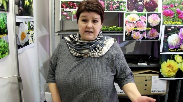 Цветник в тени