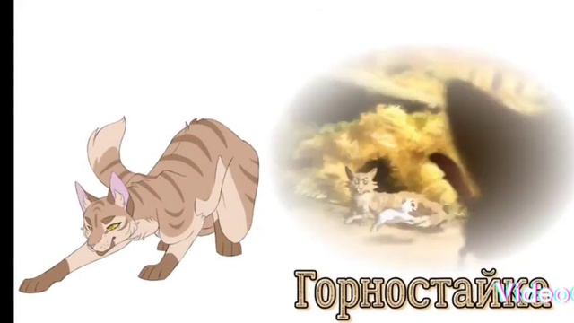 настоящие голоса некоторых котов воителей смотреть онлайн