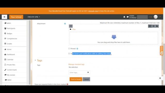 Moodle Tutorial | Announcement Forums смотреть онлайн