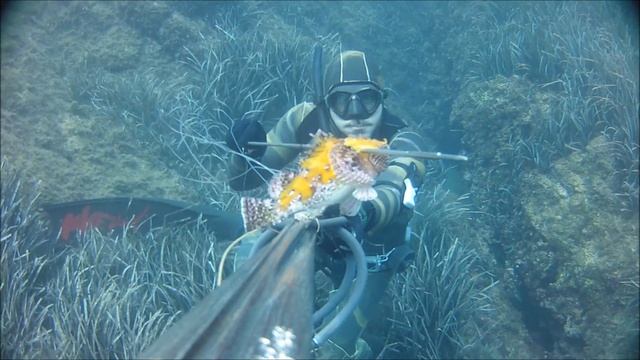 Emozioni in costa azzurra HD смотреть онлайн