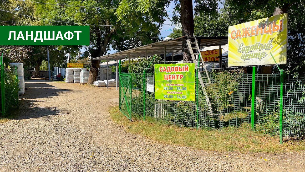 Где покупать плодовые деревья в Краснодаре? Заехал в Садовый Центр на 40-летия Победы обзор
