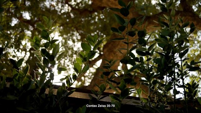 Contax Zeiss 35-70 f/3.4 MMJ First Impressions + Footage (Sony FX3 + Canon C70) смотреть онлайн