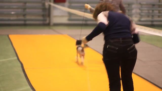 11.01.2014 моно КХС ПК сравнение на ЛПП гол смотреть онлайн