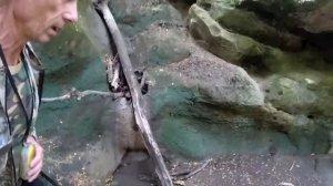 На НИВЕ в Горы Водопад Пасть Дьявола Тренировка Блогера Спецназ отдыхает Горячий Ключ Кайф туристов