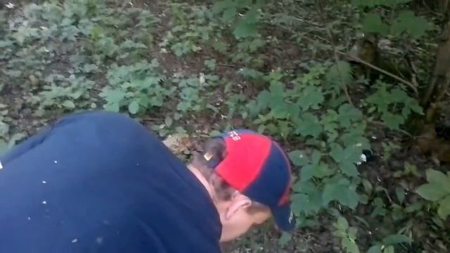 Смотреть всем!!!! как спариваются ежики!!! смотреть онлайн