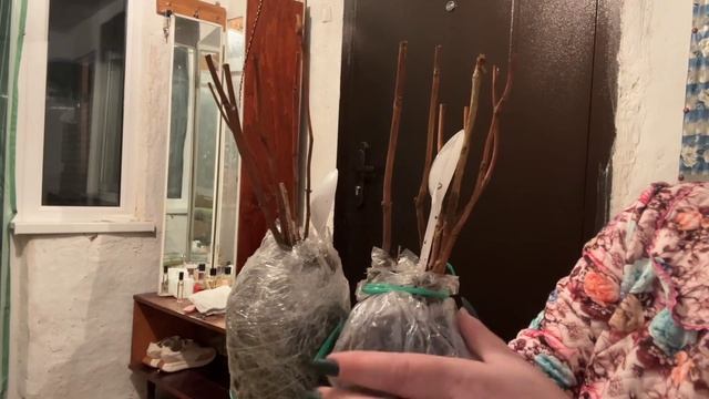 Получила шикарные сорта смотреть онлайн