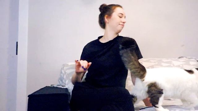 В гостях у Лексика! смотреть онлайн