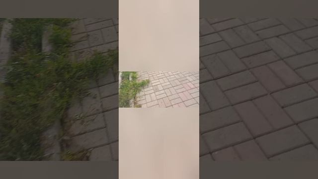 1 part смотреть онлайн