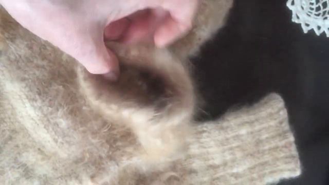 Лечебные собачьи наколенники и носки. смотреть онлайн