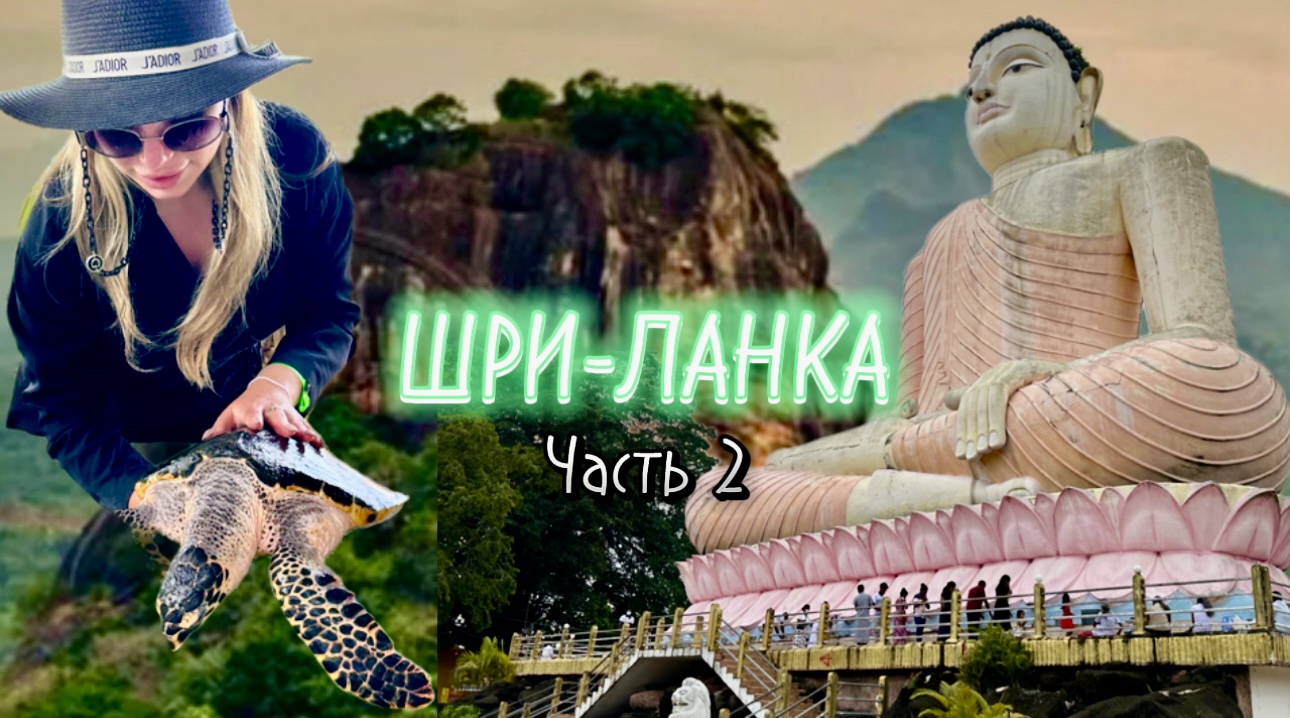 КРОКОДИЛЫ, СИДЯЧИЙ БУДДА И САМАЯ БОЛЬШАЯ РЕКА ШРИ-ЛАНКИ ??? смотреть онлайн