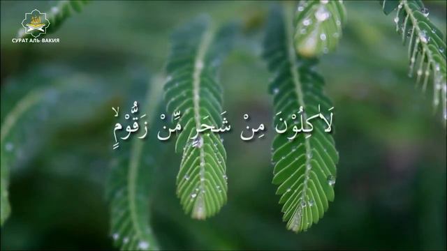 Бу Дуо тез Бой қилувчи Хизр Алайҳиссаломдан! дуо Ризқ Барака Учун Жуда кучлик Хизр А.С смотреть онлайн
