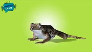 Дикие животные - Кто живет в лесу - развивающие мультики Монтессори для самых маленьких