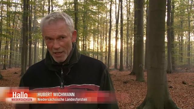 Buchecker Ernte in Linsburg смотреть онлайн