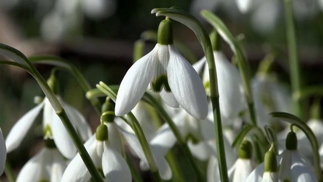 ЛЕГКО И ПРОСТО СДЕЛАЙТЕ ЭТО И УДАЧА БУДЕТ С ВАМИ ВСЕГДА.Эзотерика Для Тебя.Практики.Гороскоп. смотреть онлайн