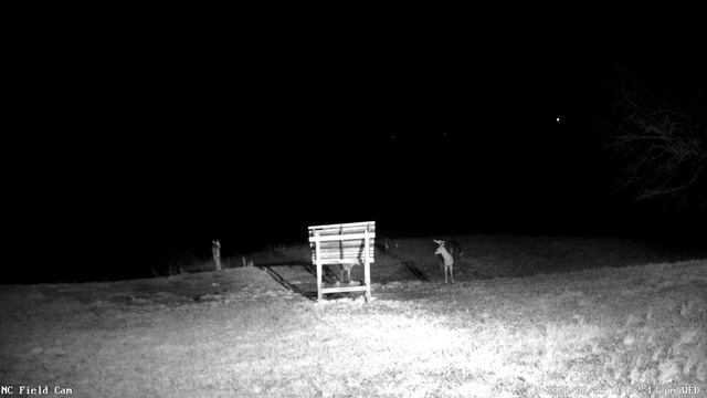 Most Active - Feb 28 10:50-11:00p - Bucks