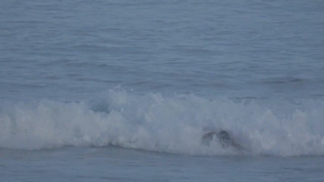 5'4" Twin Fin shaped by Yoshi Ueda смотреть онлайн