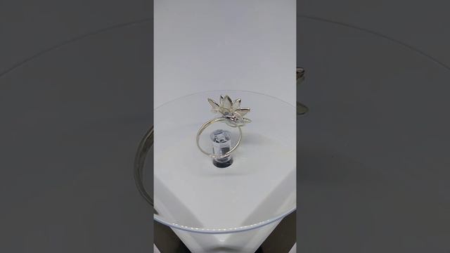 Кольцо Белый лотос смотреть онлайн