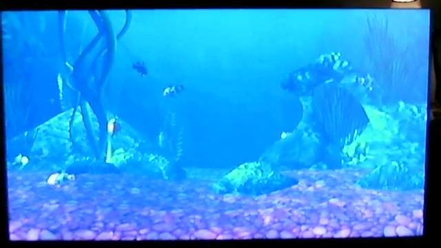 Tetris Splash Aquarium