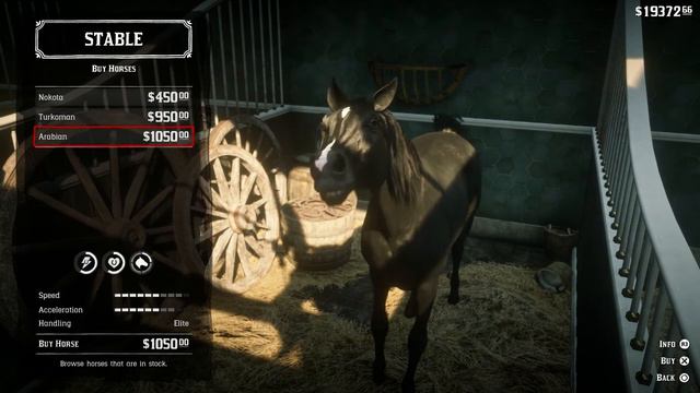 REAL BEST HORSE IN RED DEAD REDEMPTION 2 (COMPARING THE STATS AND XP)