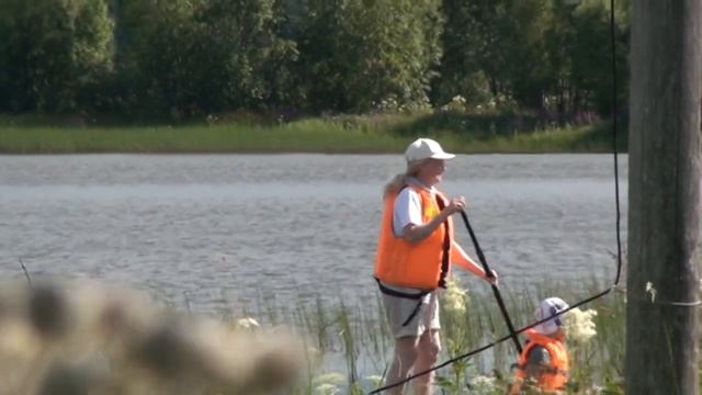Чемпионат по гребле смотреть онлайн