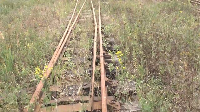 Заброшенная узкоколейная железная дорога. Просим машинистов подудеть) Грузовые поезда 2021. Часть 2 смотреть онлайн