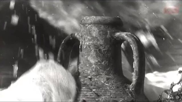 В Севастополе отметили День российского кино | 27.08.2016 смотреть онлайн