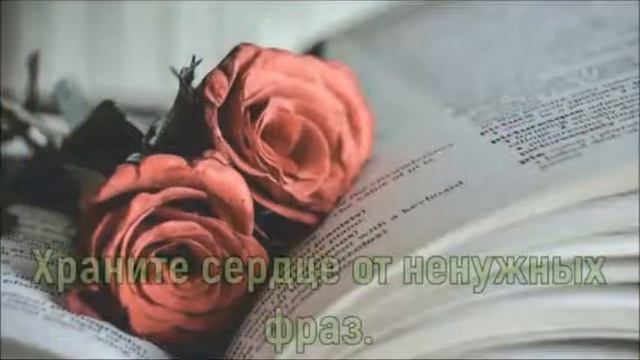 ХРАНИТЕ СЕРДЦЕ ст О Дрожжина муз и исп А Сумин смотреть онлайн
