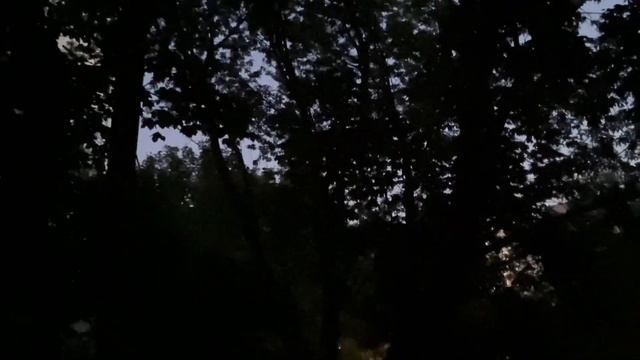 Vlog. Будни. Шоппинг??. Летний кинотеатр „под открытым небом”? смотреть онлайн