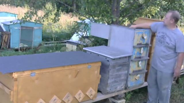 Цикл сравнительных видео Мой улей лежак и ульи - дадановкие, лежаки, кассетные, варре смотреть онлайн