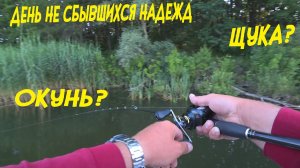 Крупный окунь на вибы (ратлины), как ловить крупного окуня летом