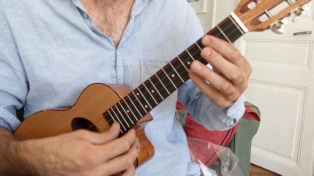 Ukulele Jazz Manouche Concert Cèdre Low G