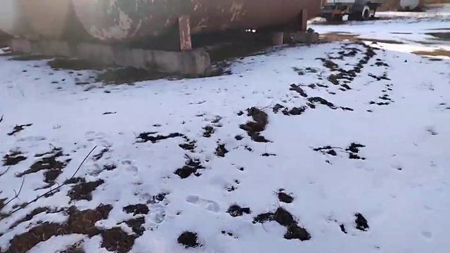 Йшов повз знайшов #старий вулик#пчеловодство смотреть онлайн
