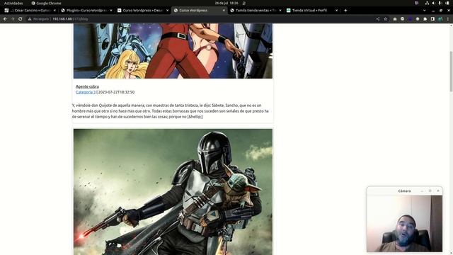 Plugin y themes para WordPress. Despliegue con React. Integración de pasarelas de pago смотреть онлайн
