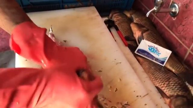 SAZAN NASIL TEMİZLENİR How To Clean Carp (BALIK TEMİZLEME , BALIK PİŞİRME)