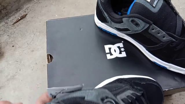 DC stag DC shoes skateboarding смотреть онлайн