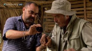 Страсти по насекомым 9 серия «Путешественники во времени» (документальный сериал, 1999)