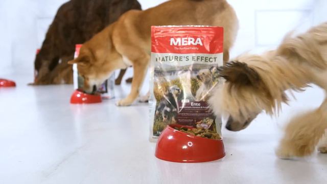 Немецкий корм MERA смотреть онлайн