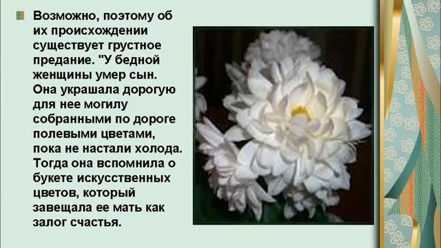 День хризантемы смотреть онлайн
