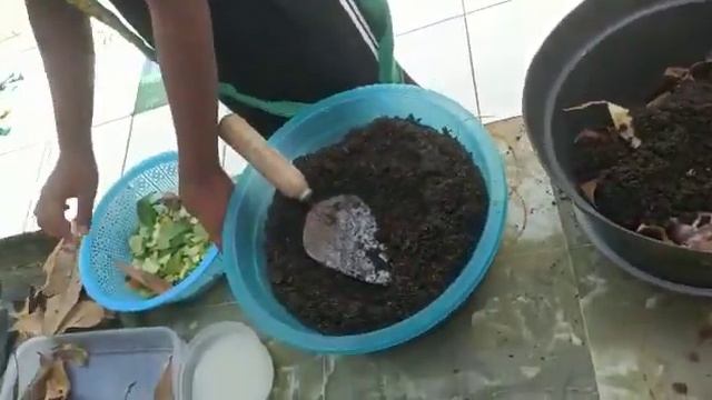 KAMPANYE PEMBUATAN KOMPOSTER KELAS 4A SDN KERONCONG 4 KOTA TANGERANG смотреть онлайн