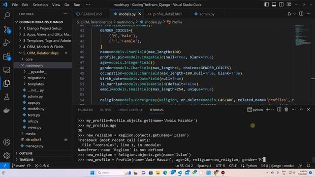 Django Shell & Model Queries | Django Course | Tutorial #7 смотреть онлайн