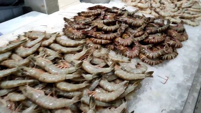 Souq Al Jubail Sharjah Visit смотреть онлайн