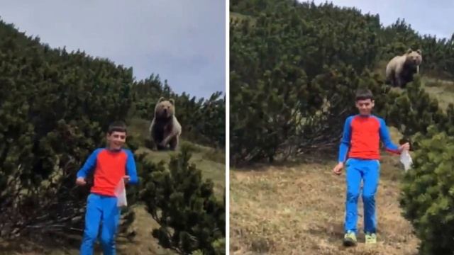 12 летний мальчик встретил в лесу медведя и именно эта верная реакция спасла ему жизнь