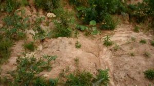 Бывший командный пункт в/ч 30725 («Семерка»)