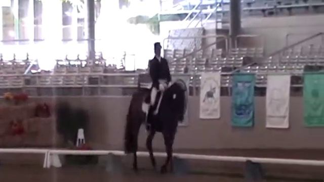 David Blake and Lord Albert - 10.09.10 - Regional PSG Champions смотреть онлайн