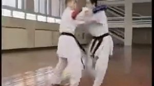 Каратэ для начинающих Часть 1 общие сведения